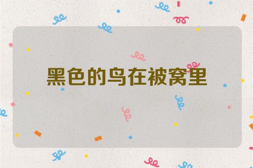 黑色的鸟在被窝里