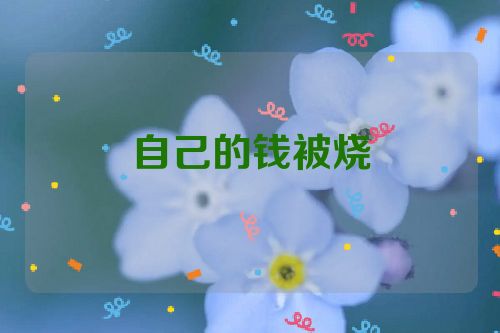 自己的钱被烧