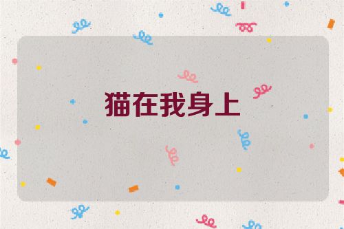猫在我身上
