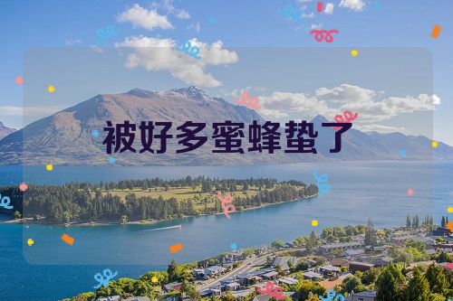 被好多蜜蜂蛰了