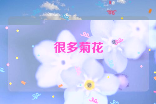 很多菊花