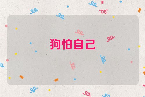 狗怕自己