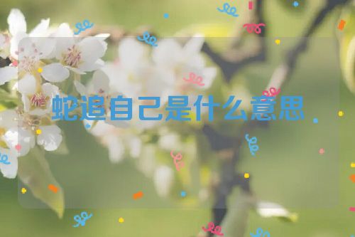 蛇追自己是什么意思