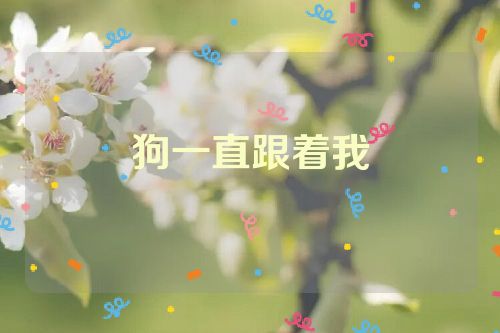 狗一直跟着我
