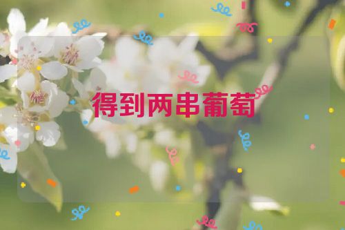 得到两串葡萄