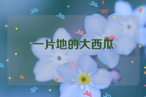 一片地的大西瓜