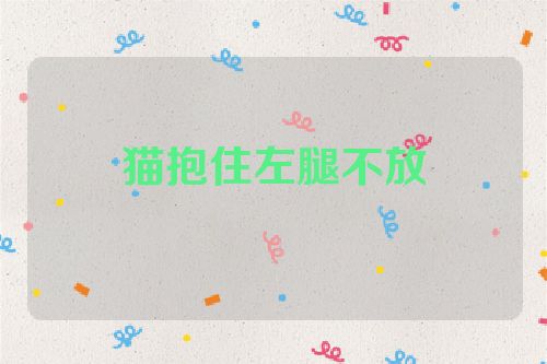 猫抱住左腿不放