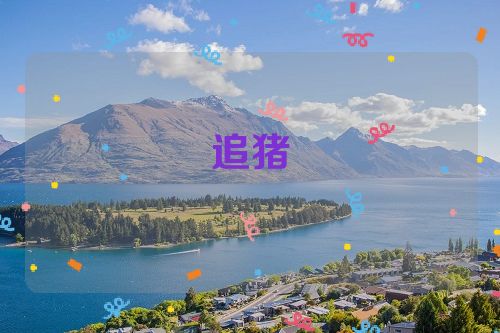 追猪