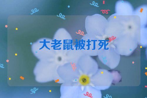 大老鼠被打死
