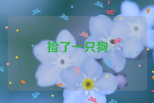 捡了一只狗