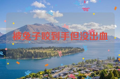 被兔子咬到手但没出血