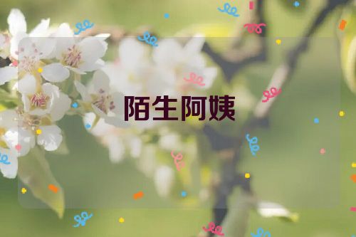陌生阿姨