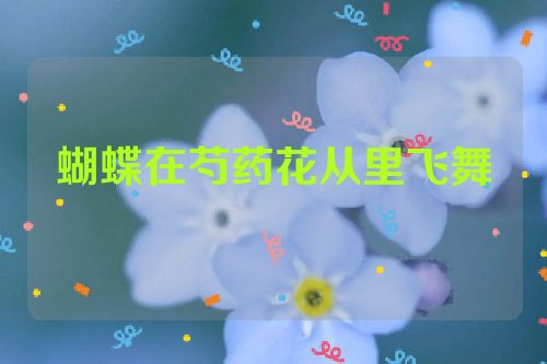 蝴蝶在芍药花从里飞舞