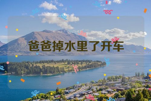 爸爸掉水里了开车