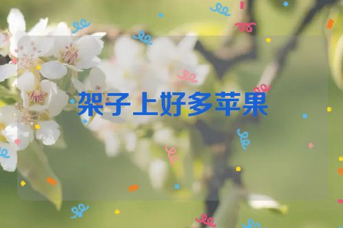 架子上好多苹果