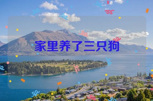 家里养了三只狗