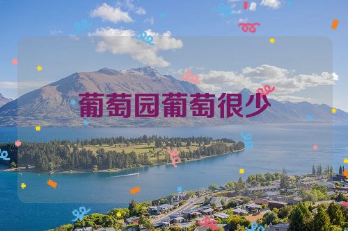 葡萄园葡萄很少