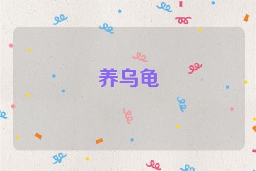 养乌龟