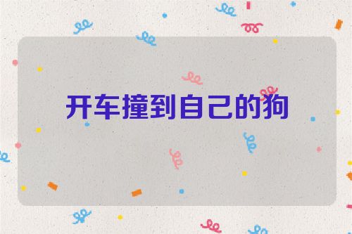 开车撞到自己的狗