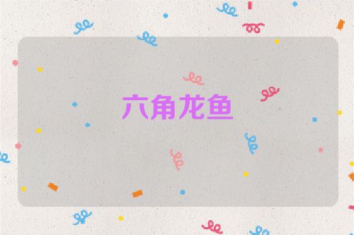 六角龙鱼