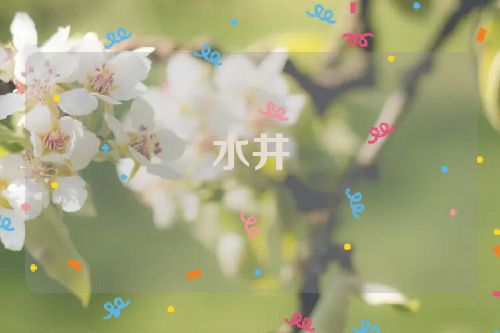 水井