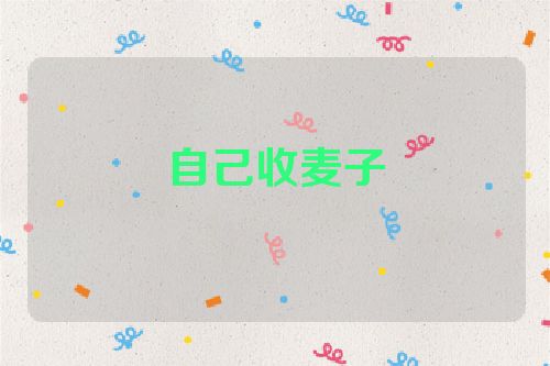 自己收麦子