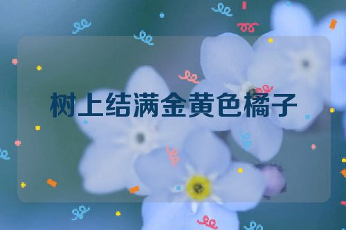 树上结满金黄色橘子