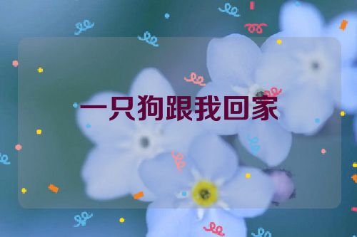 一只狗跟我回家