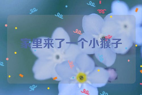家里来了一个小猴子
