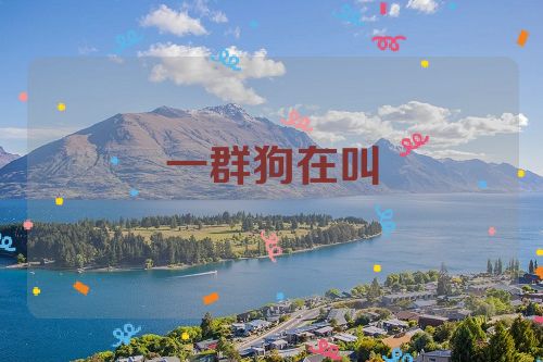 一群狗在叫