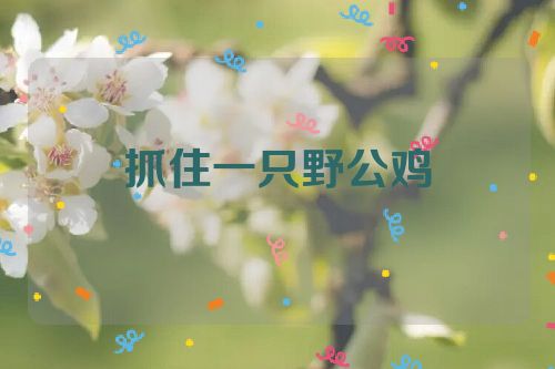 抓住一只野公鸡