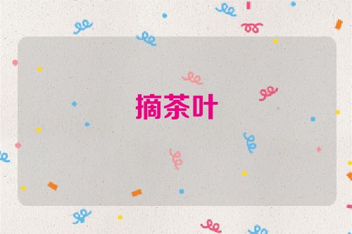 摘茶叶