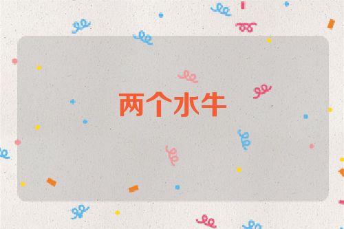 两个水牛