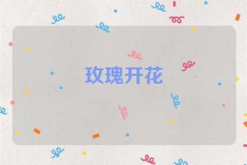 玫瑰开花