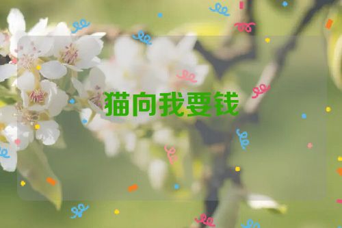 猫向我要钱