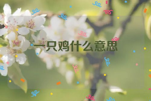 一只鸡什么意思