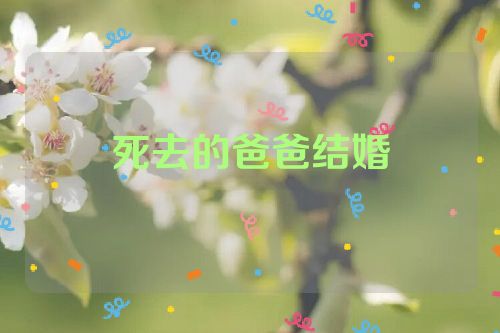 死去的爸爸结婚