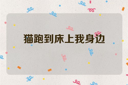 猫跑到床上我身边