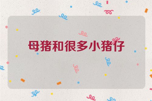 母猪和很多小猪仔