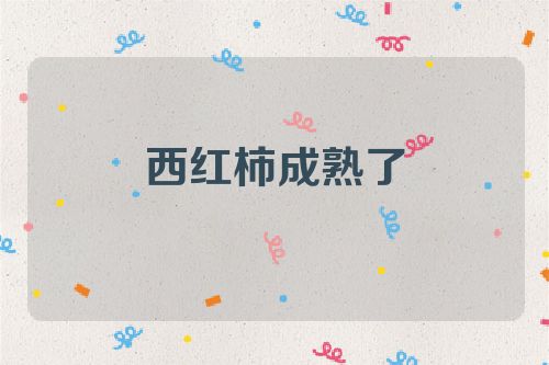 西红柿成熟了