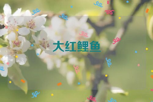 大红鲤鱼