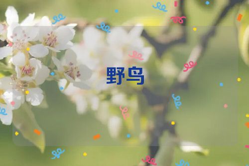 野鸟