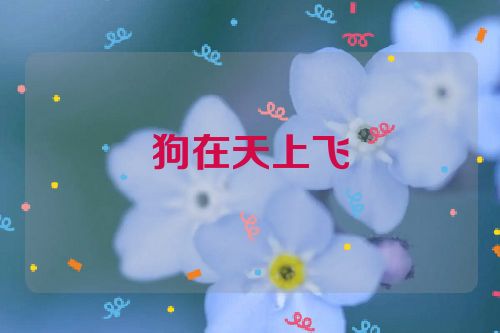 狗在天上飞