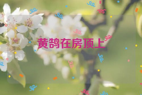 黄鹄在房顶上