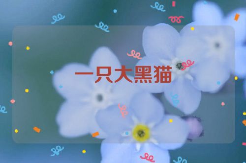 一只大黑猫