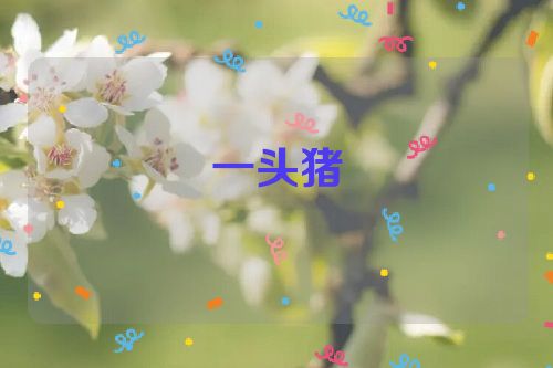 一头猪