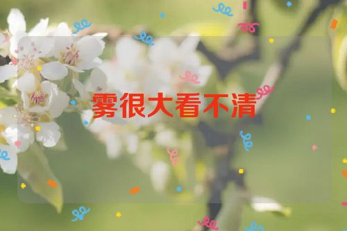 雾很大看不清