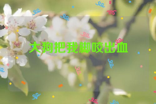 大狗把我脚咬出血