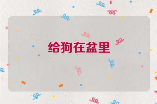 给狗在盆里