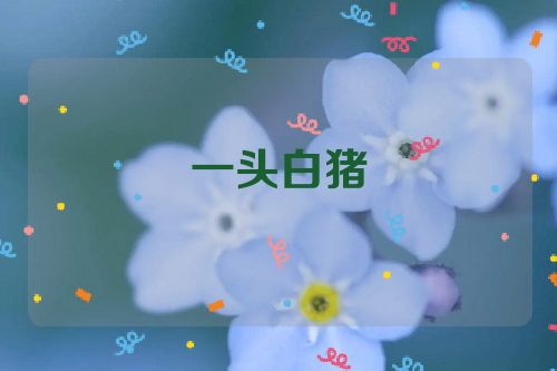 一头白猪